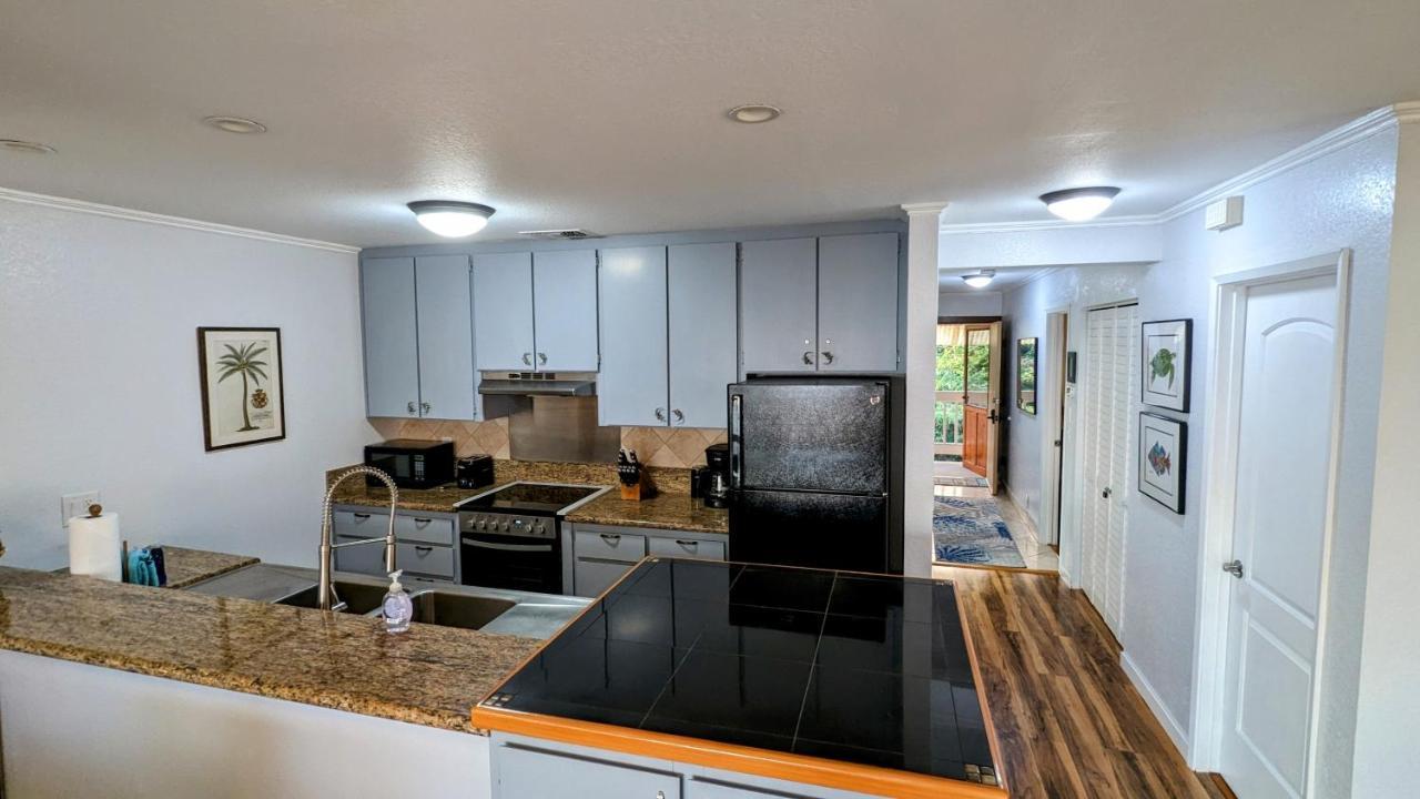 Appartement Seaspray Oceanview à Kailua-Kona Extérieur photo